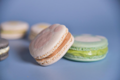 烘焙培训的学费大致多少钱？哈尔滨学烘焙哪里好？