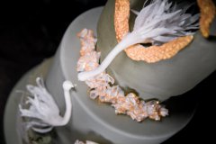 没有基础可以学西点烘焙吗？