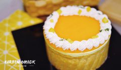 读书不多，学技术学什么比较好