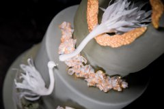 哪里有翻糖蛋糕培训班？学费多少？