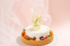 50岁能学西点技术么？多少岁才是学西点的最佳时期？