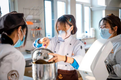 哈尔滨私房蛋糕甜品培训学校在哪里