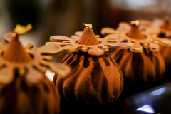 女孩现在学什么技术比较好？